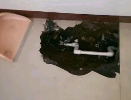 焉耆卫生间测漏水多少钱